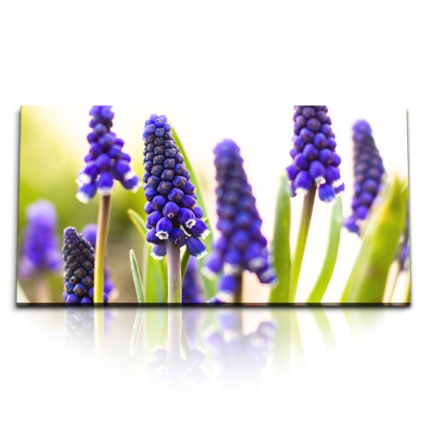 Paul Sinus Art Kunstdruck Bilder 120x60cm Lavendel Nahaufnahme Violett Natur Grün