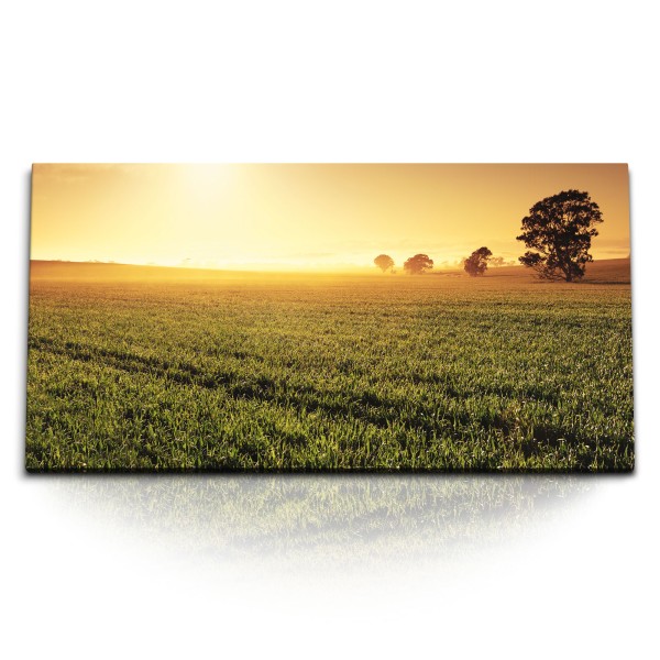 Paul Sinus Art Kunstdruck Bilder 120x60cm Landschaftsbild Natur Sonnenuntergang Abendrot Bäume