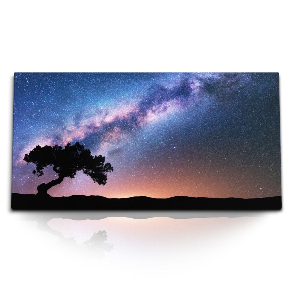 Paul Sinus Art Kunstdruck Bilder 120x60cm Milchstraße Galaxie Sternenhimmel Astrofotografie Baum