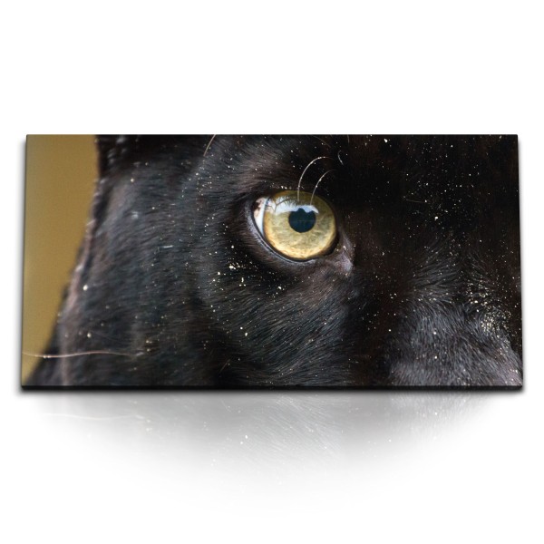 Paul Sinus Art Kunstdruck Bilder 120x60cm Schwarzer Panther Auge Katzenauge Raubkatze