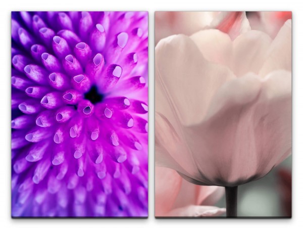 Paul Sinus Art 2 Bilder je 60x90cm Koralle weiße Tulpe Blumen Sanft Zart Sommer Makrofotografie