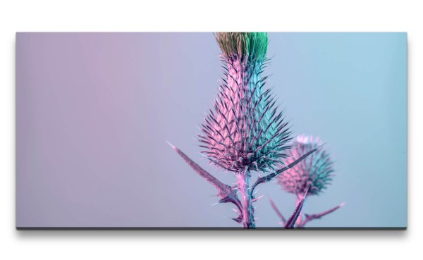 Paul Sinus Art Leinwandbild 120x60cm Distelblume Stacheln Fotokunst Nahaufnahme Kunstvoll