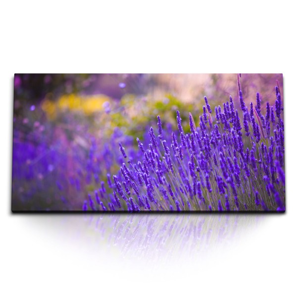 Paul Sinus Art Kunstdruck Bilder 120x60cm Lavendel Blumen Wildblumen Blau Natur Sommer