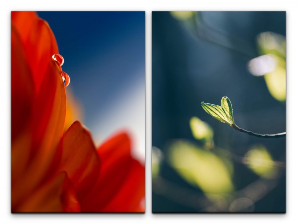 Paul Sinus Art 2 Bilder je 60x90cm Blüte Knospen Zweig Frühling rote Blüte Dekorativ Makrofotografie