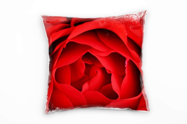 Paul Sinus Art Blumen Macro, rot, Rose, Blüte, Detailaufnahme Deko Kissen 40x40cm für Couch Sofa Lounge Zierkissen