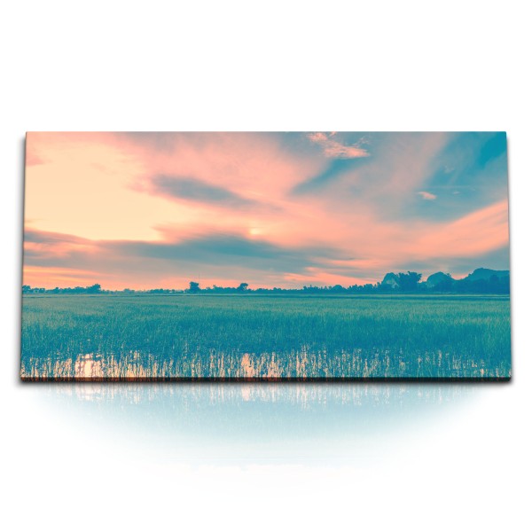 Paul Sinus Art Kunstdruck Bilder 120x60cm Reisanbau Reisfeld Horizont Sonnenuntergang Natur