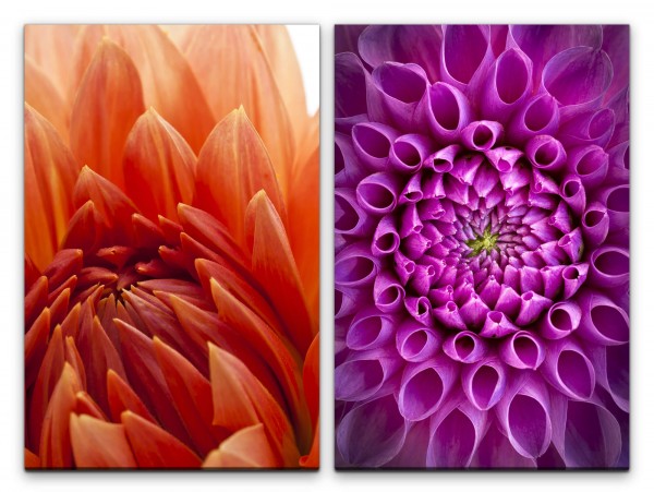 Paul Sinus Art 2 Bilder je 60x90cm Dahlie rote Blume Blüte Bunt Fotokunst Makrofotografie Nahaufnahme