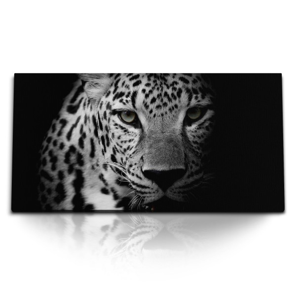 Paul Sinus Art Kunstdruck Bilder 120x60cm Schwarz Weiß Tierfotografie Jaguar Raubkatze Raubtier