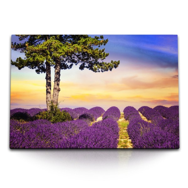 120x80cm Wandbild auf Leinwand Lavendel Lavendelfeld Malerisch Landschaft Natur