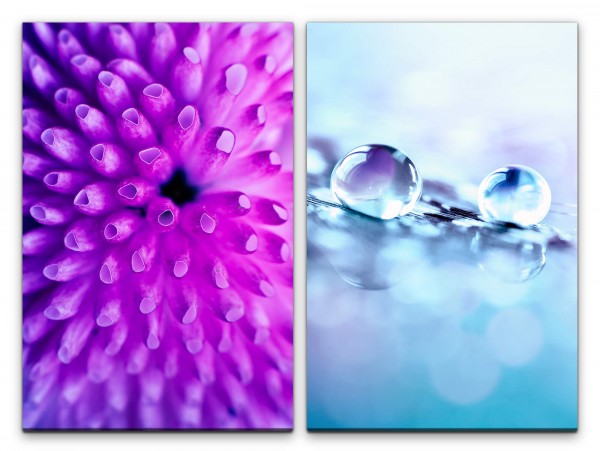 Paul Sinus Art 2 Bilder je 60x90cm Koralle Unterwasser Wassertropfen blaue Tropfen Violett Fotokunst Makrofotografi