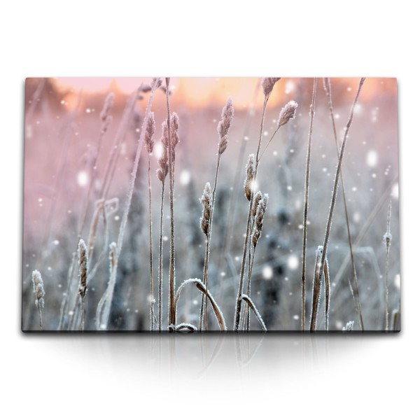 Paul Sinus Art 120x80cm Wandbild auf Leinwand Weizenfeld Pflanzen Frost Natur Sonnenuntergang