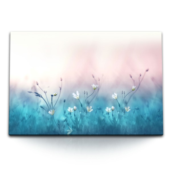 Paul Sinus Art 120x80cm Wandbild auf Leinwand Wildblumen weiß Blumen Kunstvoll Blau