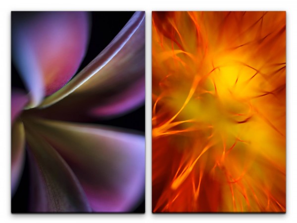 Paul Sinus Art 2 Bilder je 60x90cm Blumen Blüten Orange Pflanze Nahaufnahme Makro Fotokunst