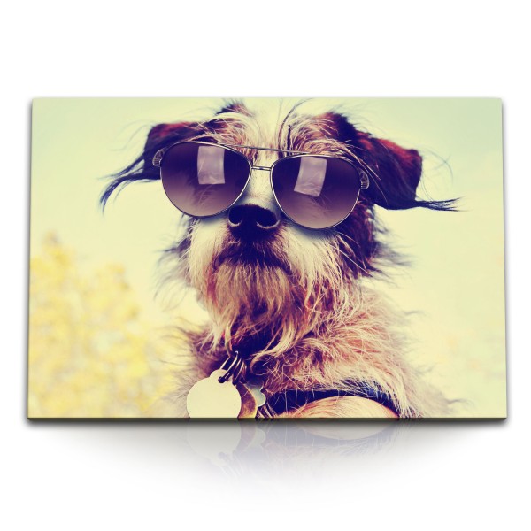 Paul Sinus Art 120x80cm Wandbild auf Leinwand Kleiner Hund mit Sonnenbrille Sonnenschein Sommer