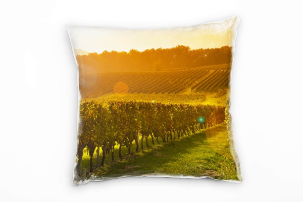 Paul Sinus Art Sommer, Weinstöcke, Sonnenaufgang, grün, orange Deko Kissen 40x40cm für Couch Sofa Lounge Zierkissen