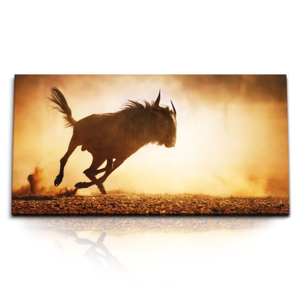 Paul Sinus Art Kunstdruck Bilder 120x60cm Afrika Wildnis Tierfotografie Gnu Bulle Steppe