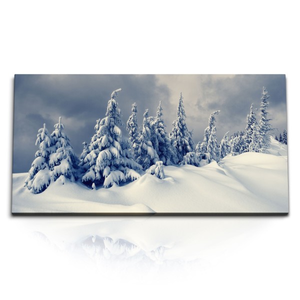 Paul Sinus Art Kunstdruck Bilder 120x60cm Winterlandschaft Schnee Winter Weiß Tannenbäume