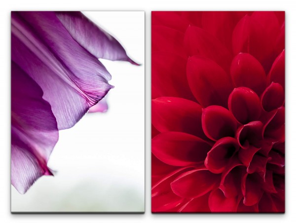 Paul Sinus Art 2 Bilder je 60x90cm Dahlie rote Blüte Orchidee Violett Sommer Harmonie Makrofotografie