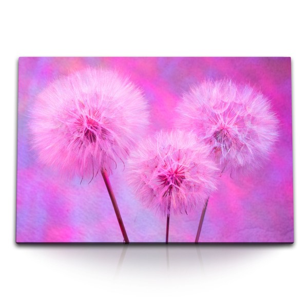 Paul Sinus Art 120x80cm Wandbild auf Leinwand Pusteblumen Rosa Kunstvoll Farbenfroh Blumen