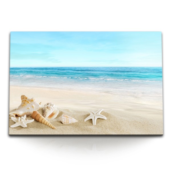 Paul Sinus Art 120x80cm Wandbild auf Leinwand Muscheln Seesterne Sandstrand Strand Meer Sommer