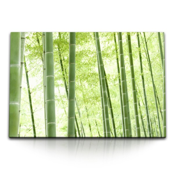 Paul Sinus Art 120x80cm Wandbild auf Leinwand Bambus Bambuswald Asien Natur Grün