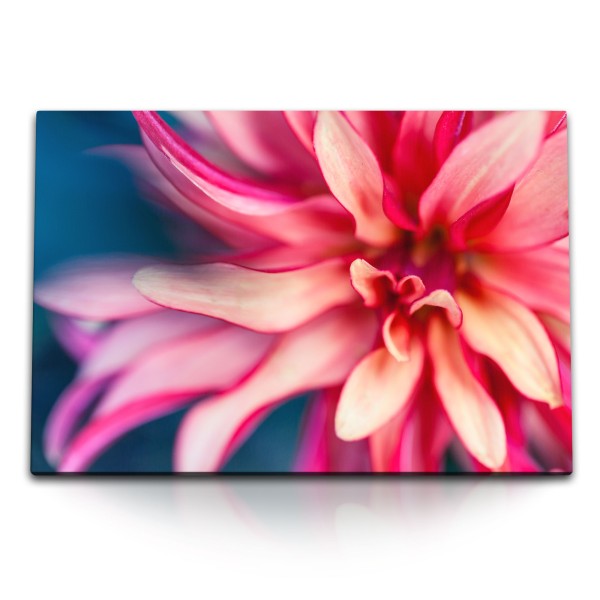 Paul Sinus Art 120x80cm Wandbild auf Leinwand Nahaufnahme rosa Blume Rot Blüte Fotokunst