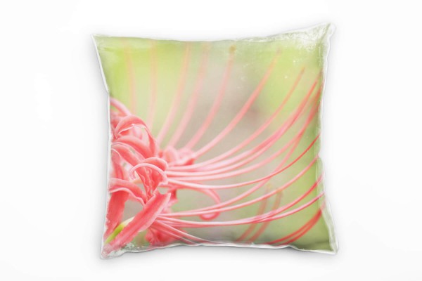 Paul Sinus Art Macro, Blumen, Blüte, pink, grün Deko Kissen 40x40cm für Couch Sofa Lounge Zierkissen