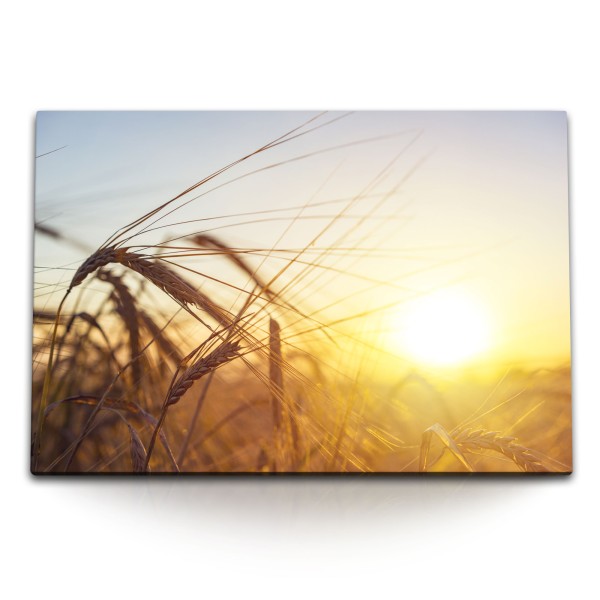 120x80cm Wandbild auf Leinwand Weizen Weizenfelder Sommer Sonnenschein Sonnenuntergang