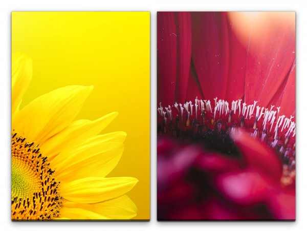 Paul Sinus Art 2 Bilder je 60x90cm Sonnenblume Gelb Rot Blüten Nahaufnahme Makro Sommer