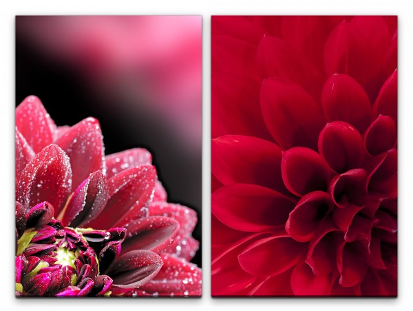 Paul Sinus Art 2 Bilder je 60x90cm Dahlie Zinnien Blumen Rot Blüten Nahaufnahme Makrofotografie