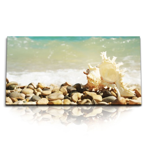 Paul Sinus Art Kunstdruck Bilder 120x60cm Meeresschnecke Muschel Strand Meer runde Steine