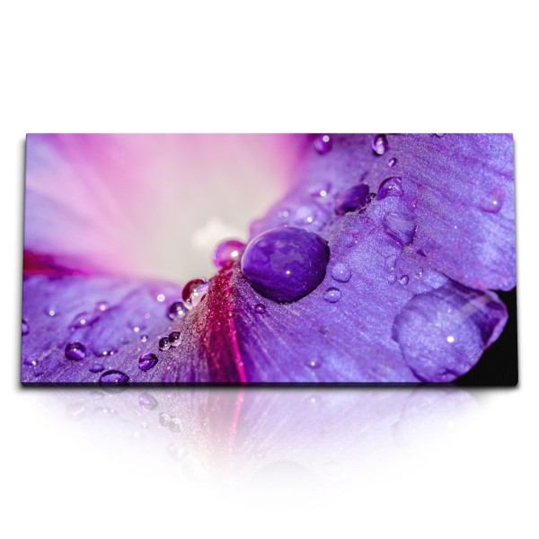 Paul Sinus Art Kunstdruck Bilder 120x60cm Violette Blüte Blume Wassertropfen Makrofotografie