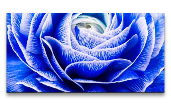 Paul Sinus Art Leinwandbild 120x60cm Blaue Blume Blüte Makrofotografie Kunstvoll Dekorativ