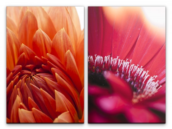 Paul Sinus Art 2 Bilder je 60x90cm Dahlie rote Blume Sommer Wärme Blüten Fotokunst Makrofotografie