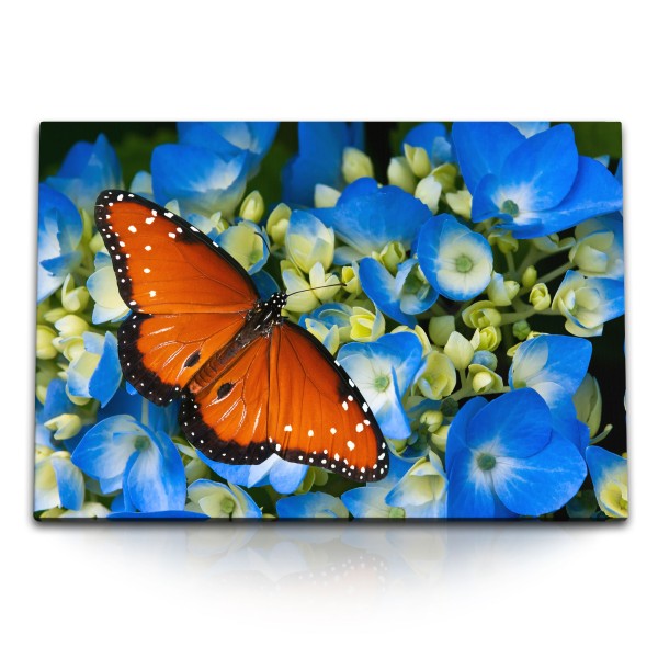 Paul Sinus Art 120x80cm Wandbild auf Leinwand Schmetterling auf blauen Blumen Blüten Fotokunst