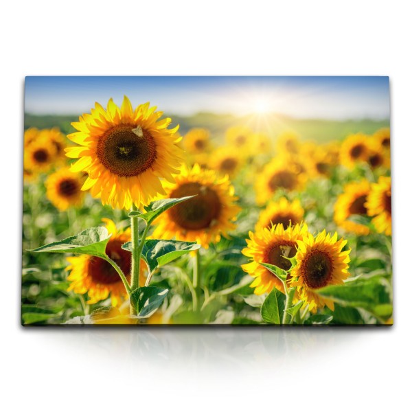 Paul Sinus Art 120x80cm Wandbild auf Leinwand Sonnenschein Sonnenblumen gelbe Blumen Sommer