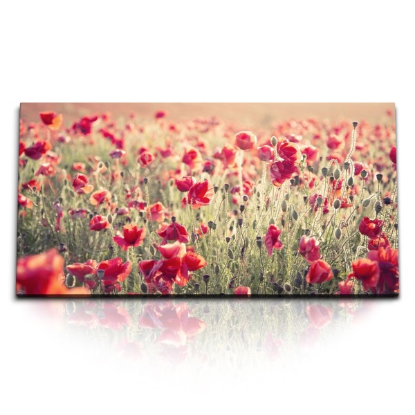 Paul Sinus Art Kunstdruck Bilder 120x60cm Mohnfeld Mohnblumen rote Blumen Wildblumen