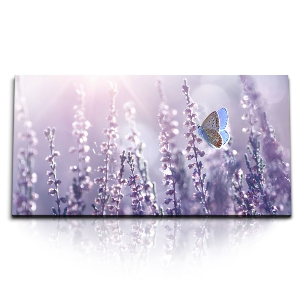 Paul Sinus Art Kunstdruck Bilder 120x60cm Sonnenschein Lavendel Schmetterling Natur Blumen