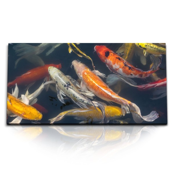 Paul Sinus Art Kunstdruck Bilder 120x60cm Koi Fisch Koiteich Zuchtkarpfen Japan Teich Farbenfroh