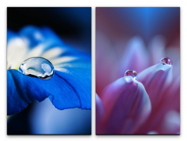 Paul Sinus Art 2 Bilder je 60x90cm Blume Wassertropfen blaue Blüte Rosa Meditation Energie Makrofotografie