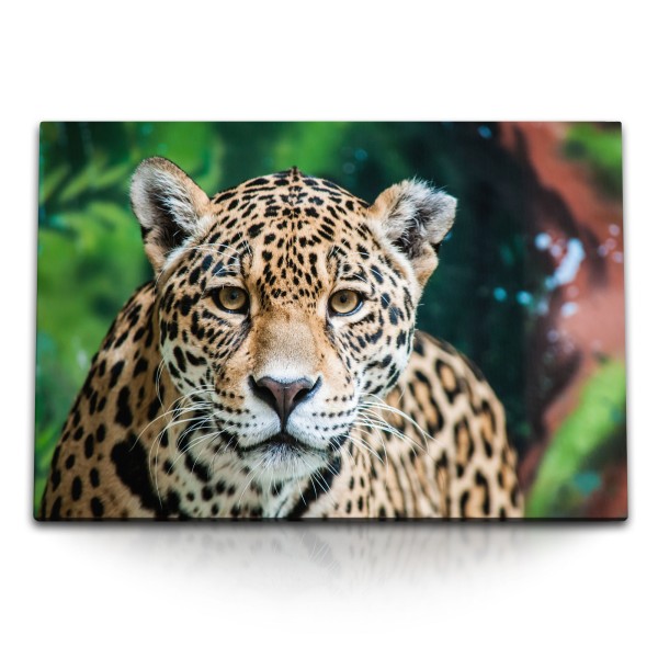 Paul Sinus Art 120x80cm Wandbild auf Leinwand Jaguar Leopard Raubkatze Katze Tierfotografie