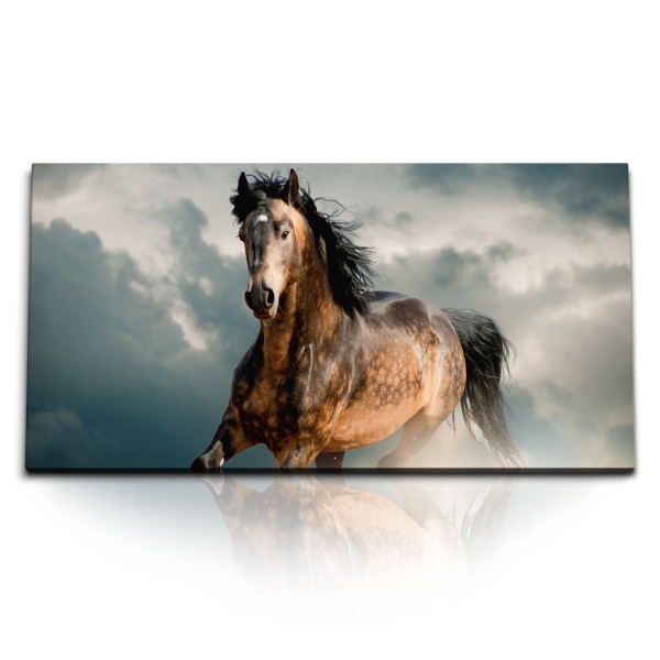 Paul Sinus Art Kunstdruck Bilder 120x60cm Pferd Wildpferd Tierfotografie dunkle Wolken