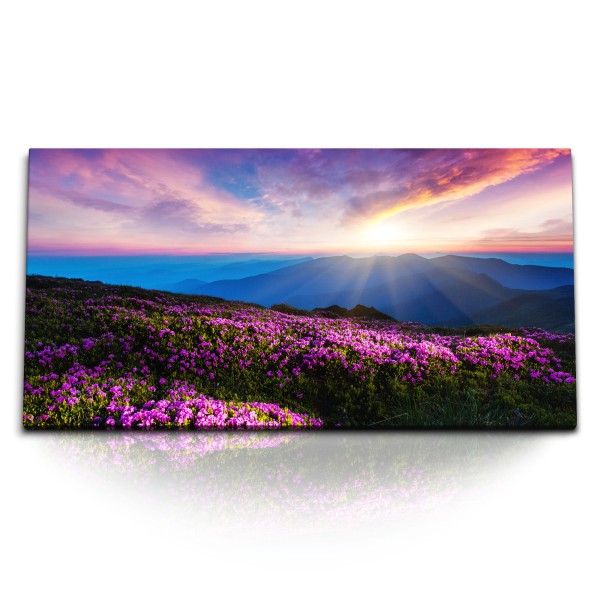 Paul Sinus Art Kunstdruck Bilder 120x60cm Berglandschaft Sonnenuntergang Berge Blumenwiese