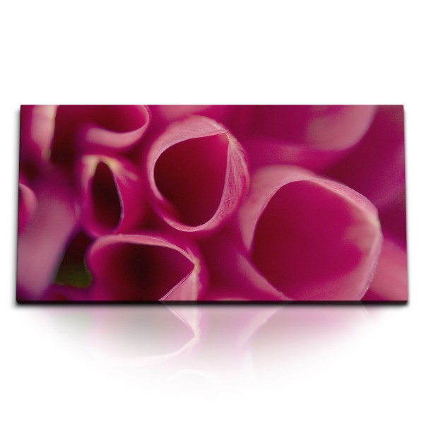 Paul Sinus Art Kunstdruck Bilder 120x60cm Makrofotografie rosa Blüte Blume Kunstvoll