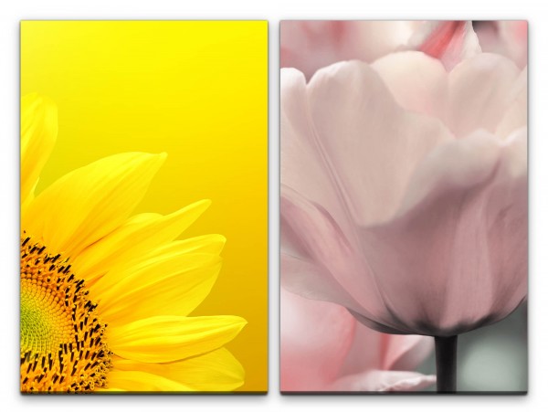 Paul Sinus Art 2 Bilder je 60x90cm Sonnenblume Gelb Weiße Tulpe Blumen Nahaufnahme Sommer