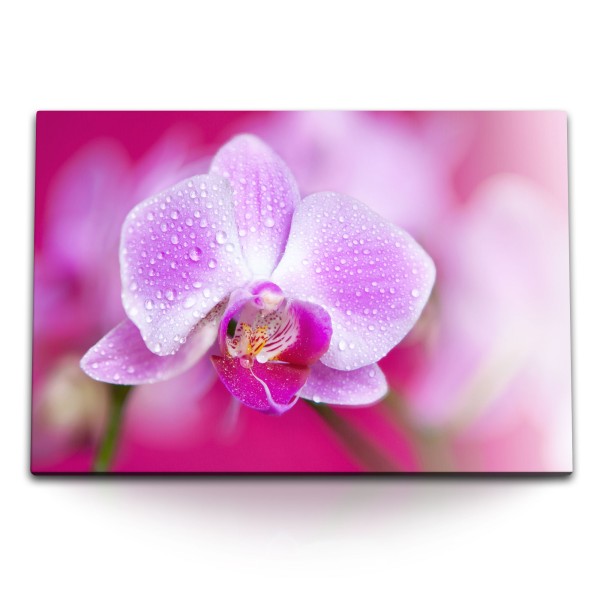 Paul Sinus Art 120x80cm Wandbild auf Leinwand Orchidee Blume Blüte Wassertropfen Kunstvoll Fotokunst