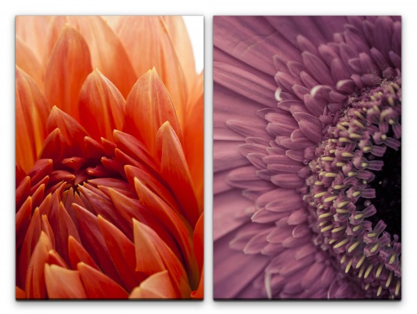 Paul Sinus Art 2 Bilder je 60x90cm Dahlie Zinnien Blumen Rot Liebe Leidenschaft Makrofotografie