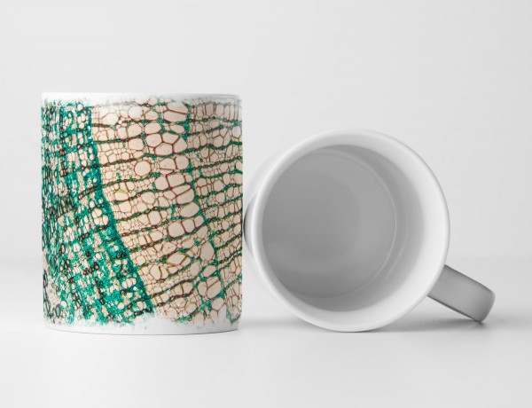 Paul Sinus Art Tasse Geschenk Mikroskopie - Cambial cells