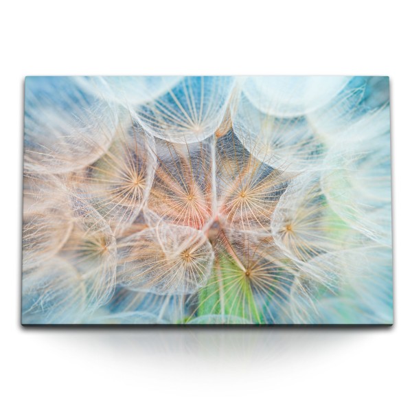 Paul Sinus Art 120x80cm Wandbild auf Leinwand Pusteblume Makrofotografie Hellblau Dekorativ