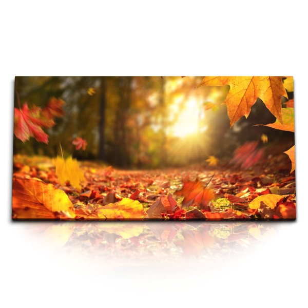 Paul Sinus Art Kunstdruck Bilder 120x60cm Herbst Herbstblätter Sonnenschein Wald Natur